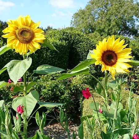 Kilmokea Garden Frühstückspension New Ross