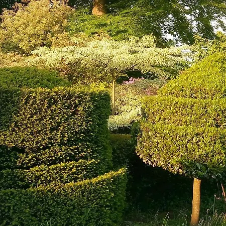 Kilmokea Garden ניו רוס