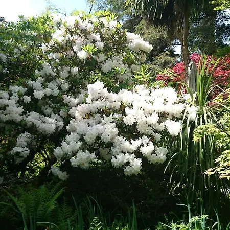 Frühstückspension Kilmokea Garden