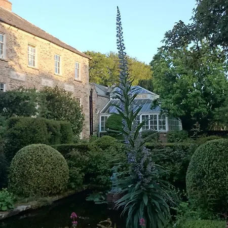Kilmokea Garden New Ross