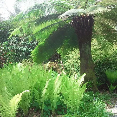 לינה וארוחת בוקר Kilmokea Garden