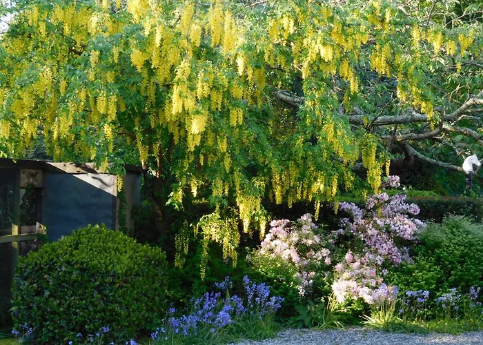 Alojamento de Acomodação e Pequeno-almoço Kilmokea Garden