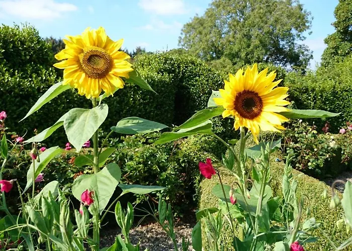 Kilmokea Garden Alojamento de Acomodação e Pequeno-almoço New Ross