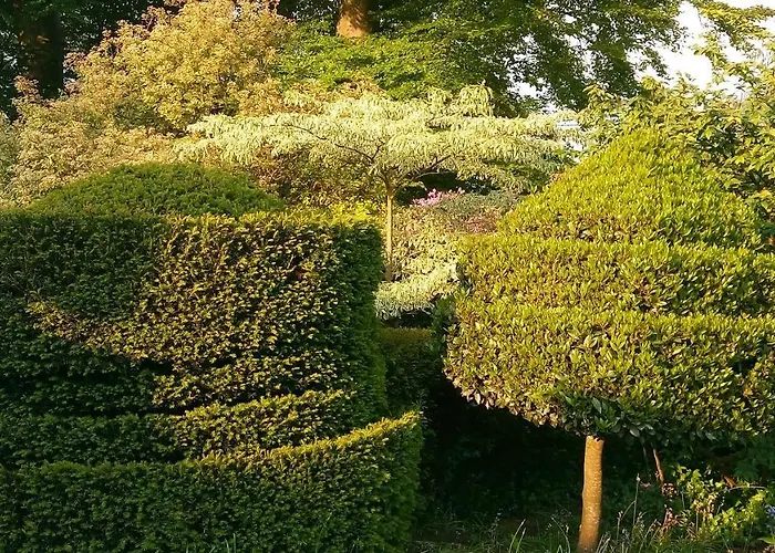 Kilmokea Garden New Ross