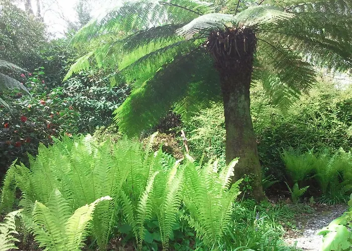 Alojamento de Acomodação e Pequeno-almoço Kilmokea Garden